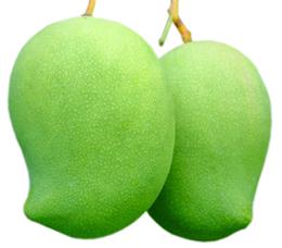 MANGUE LOCALE AU KG