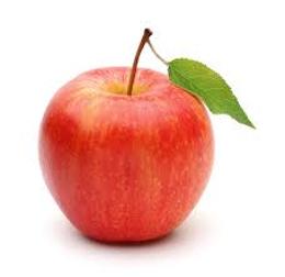 BIO POMME GALA 60/100 USA BAT AU KG