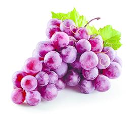 BIO RAISIN ROUGE S/P AU KG