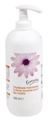 GEL SAVON MAIN LAVANDE 500ML EVERYday
