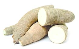 MANIOC  LOCALE AU KG