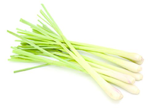 CITRONELLE LOCALE A LA BOTTE