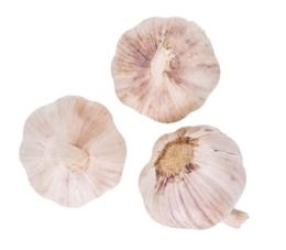 AIL FILET 3 TETE X62 BAT IMPORT