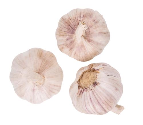 AIL FILET 3 TETE X62 BAT IMPORT