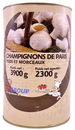 CHAMPIGNON HOTEL PARIS BOITE 5/1 x3