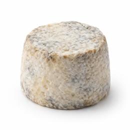 AF CROTTIN CHAVIGNOL AOP 24% MG 60GX12