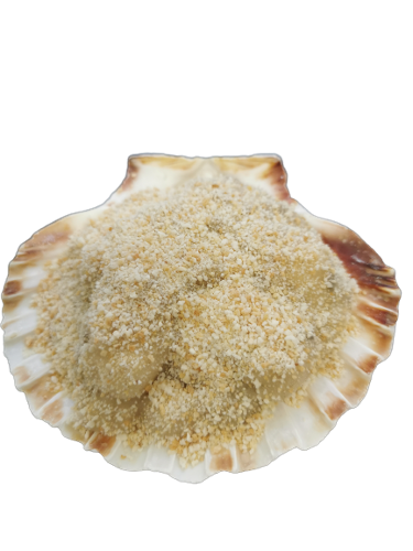 COQ ST JACQ BRETONNE 120GRX8pc  X8pqt