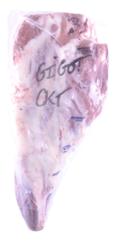 LB GIGOT AGNEAU CKT A/OS 1ER CHOIX  #LS