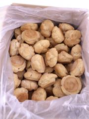 CHOUX PUR BEURRE 15Gx120 PETIT BENOIT