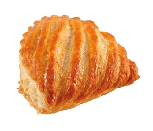 BRIDOR MINI CHAUSS POMME CRU 40GR CT 255