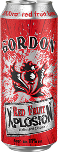 BOIS BIERE XPLOSION RED FRUIT 11% 50CL