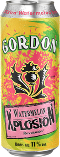 BOIS BIERE XPLOSION WAREMELON 11.0% 50CL