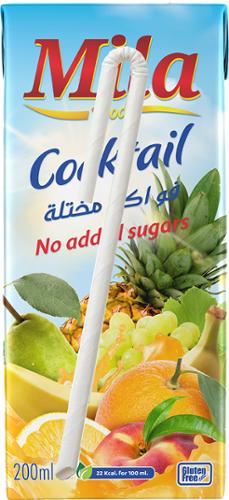 NECTAR 20CL MULTIFRUIT X6 BRIQUETTE MILA