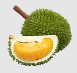 DURIAN BIO LOCAL LE KG