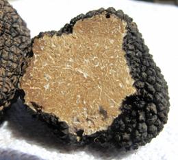 AF TRUFFE NOIRE DU PERIGORD 30/60G