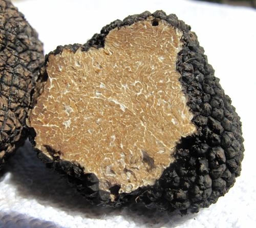 AF TRUFFE NOIRE DU PERIGORD 30/60G
